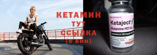 прущие грибы Верхний Тагил
