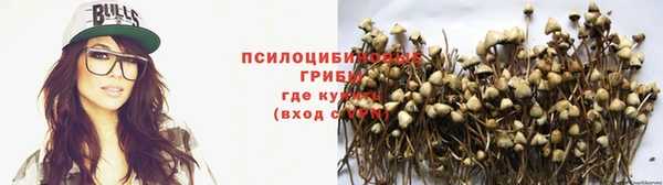 прущие грибы Верхний Тагил