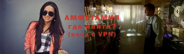 прущие грибы Верхний Тагил