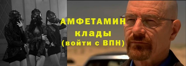 прущие грибы Верхний Тагил