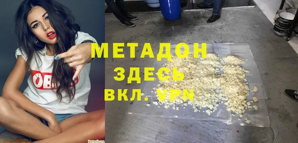 прущие грибы Верхний Тагил