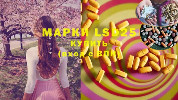 мдпв Вязьма